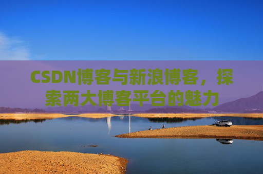 CSDN博客与新浪博客，探索两大博客平台的魅力